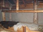 Sweden 2006-07 178